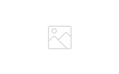 800x250 px_Case Study Font Page_Cash & Rocket