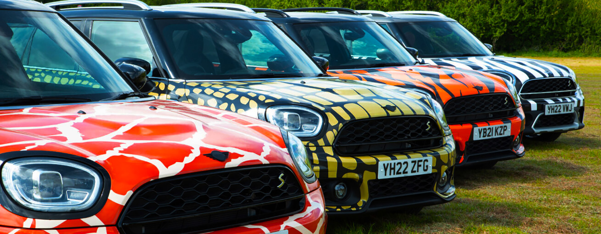 A line of cars at Longleat, each photographed in a vehicle wrap for pictures online.