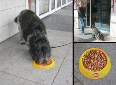 Pedigree-dog-food-cmapaign-bowl-image-floor-graphic-guerilla-marketing