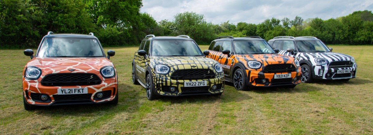 Minis - How much does it cost to wrap a car